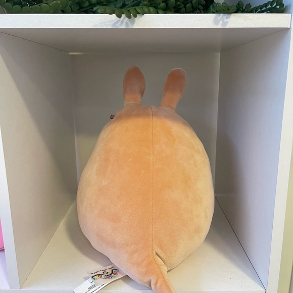 Keely the kangaroo Squishmallow 🦘 - Picture 2 of 2